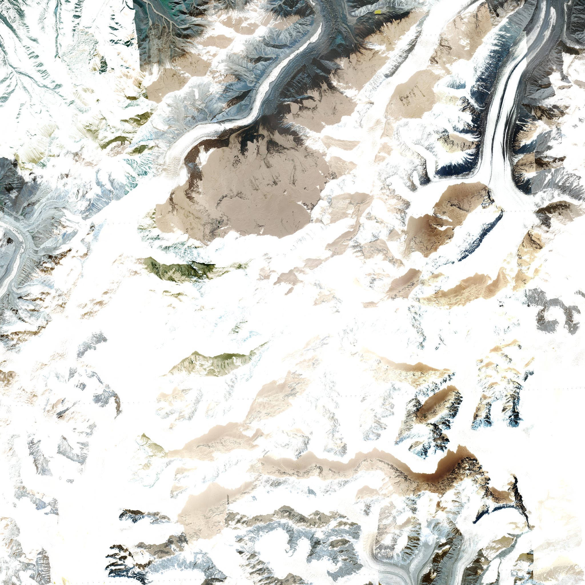 source imagery (naip)