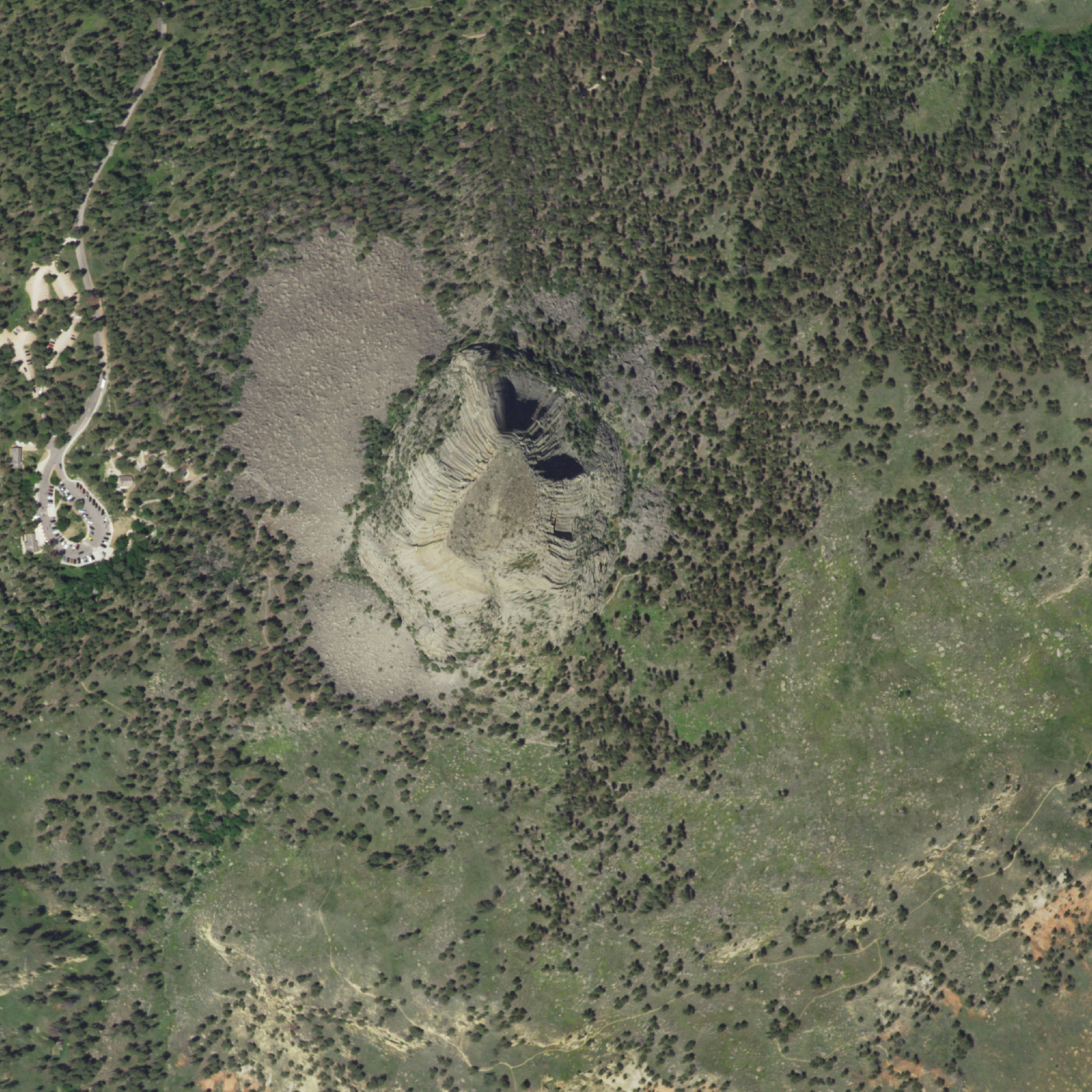 source imagery (naip)