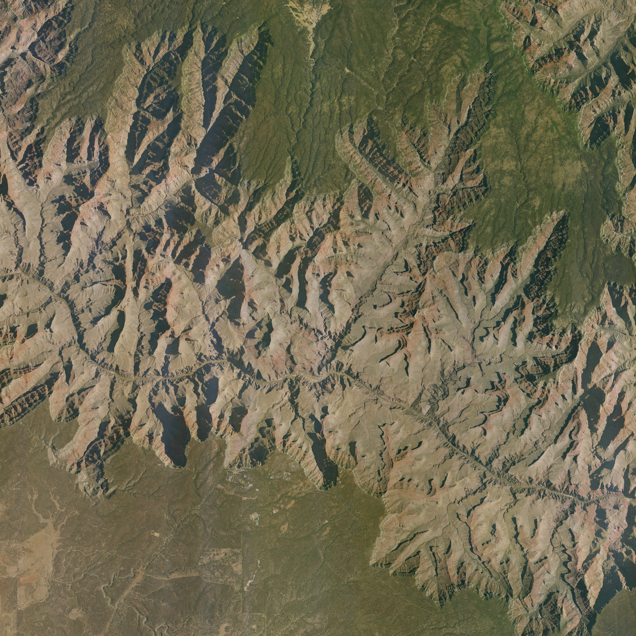 source imagery (naip)