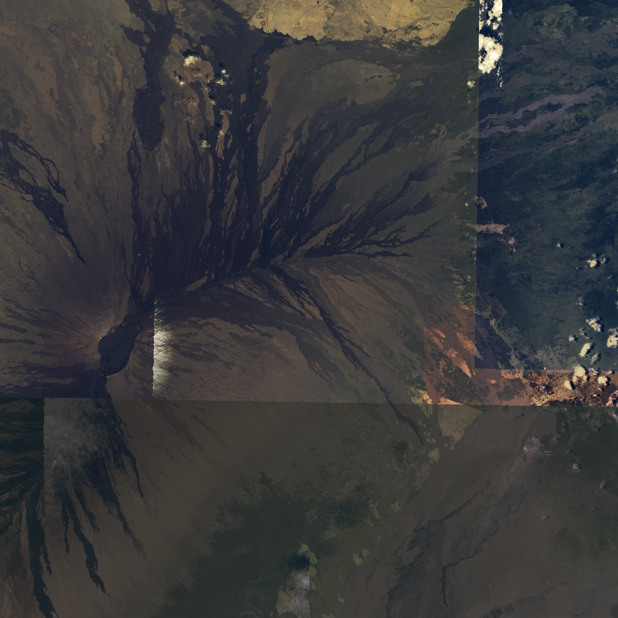 source imagery (naip)