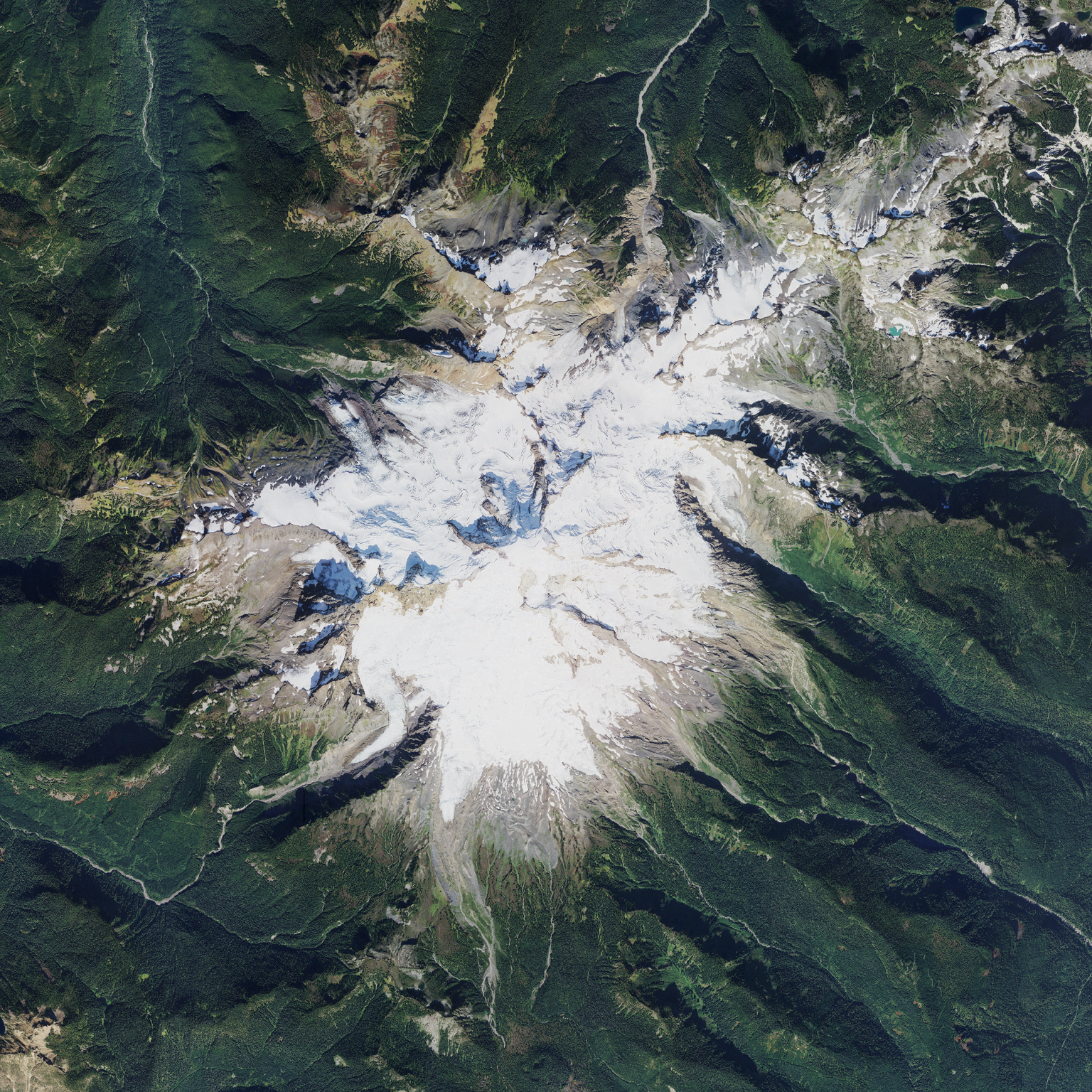 source imagery (naip)