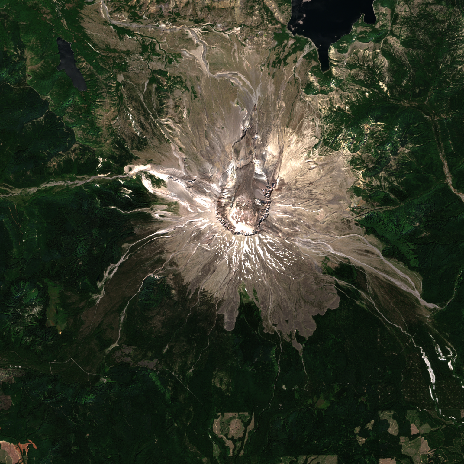 source imagery (sentinel2@2025-08-12)