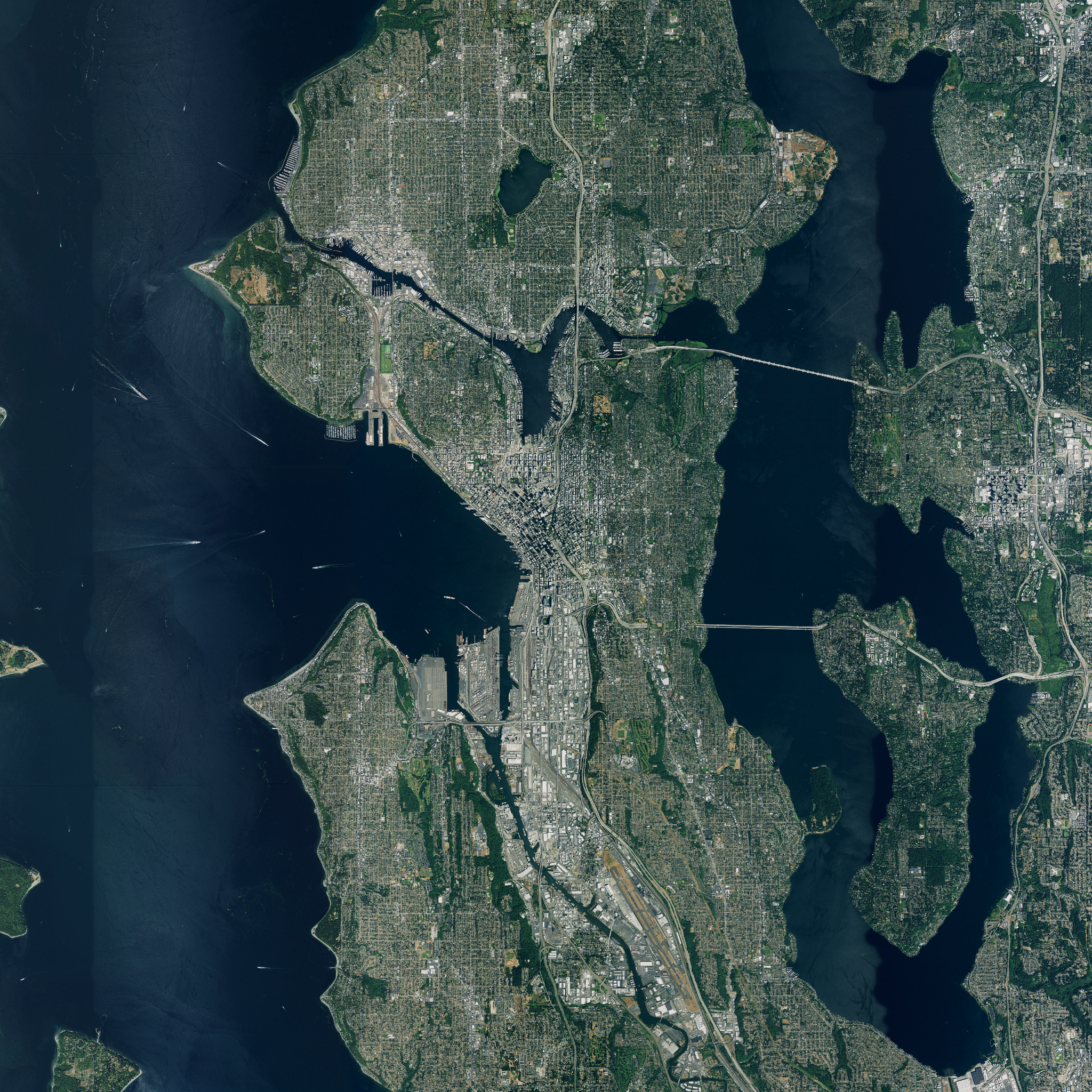 source imagery (naip)