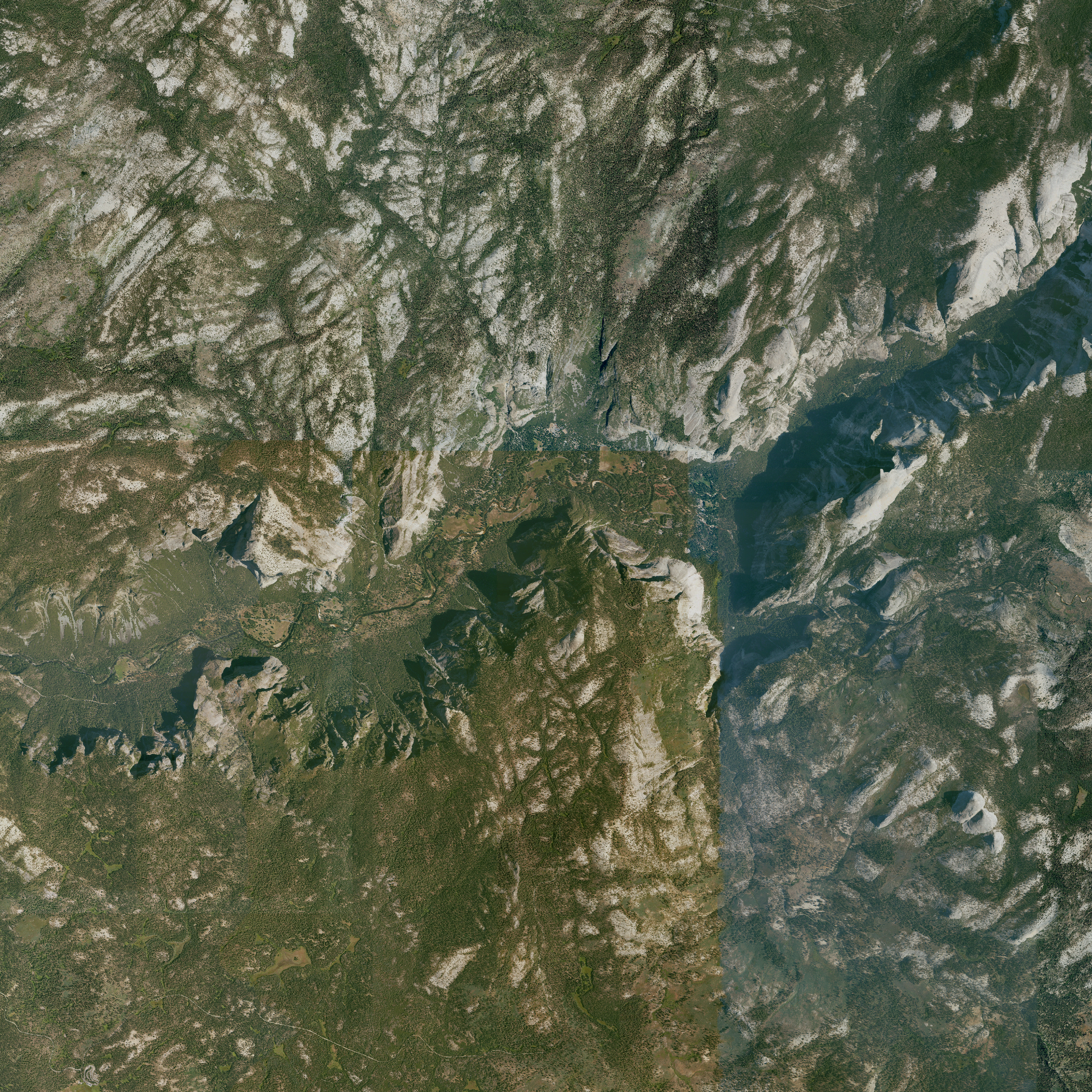 source imagery (naip)